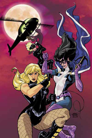 Birds of Prey 92 cover